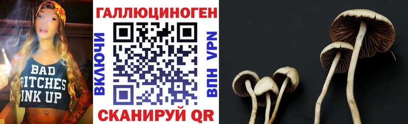 Псилоцибиновые грибы мицелий наркошоп Нестеров